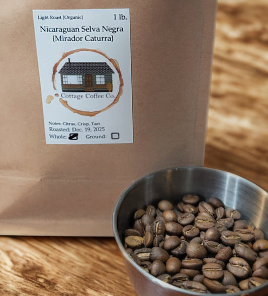 Nicaraguan Selva Negra (Mirador Caturra)